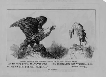 Our national bird, published 1861